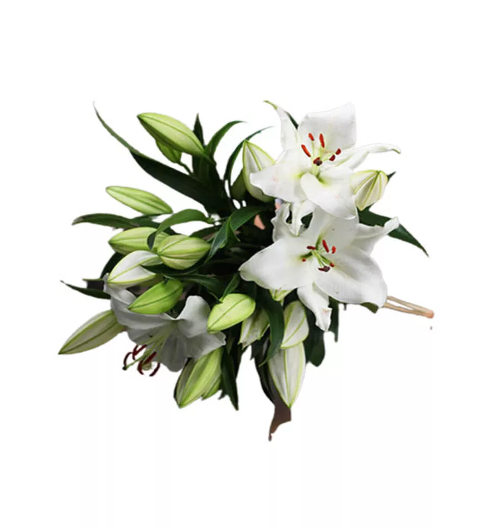 Noble Arrangement Of Lilies
