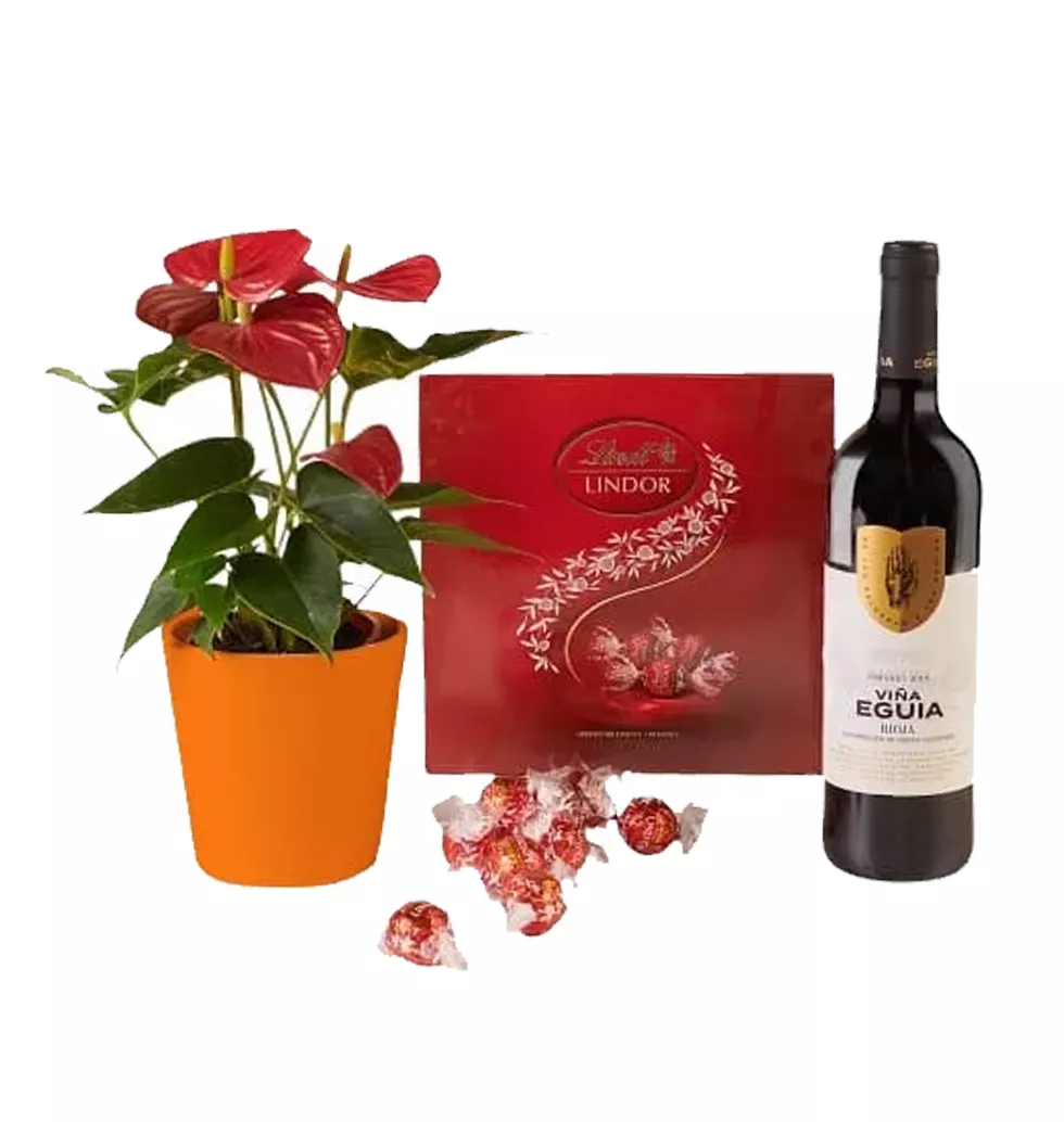 Red Wine and Anthurium Gift Set
